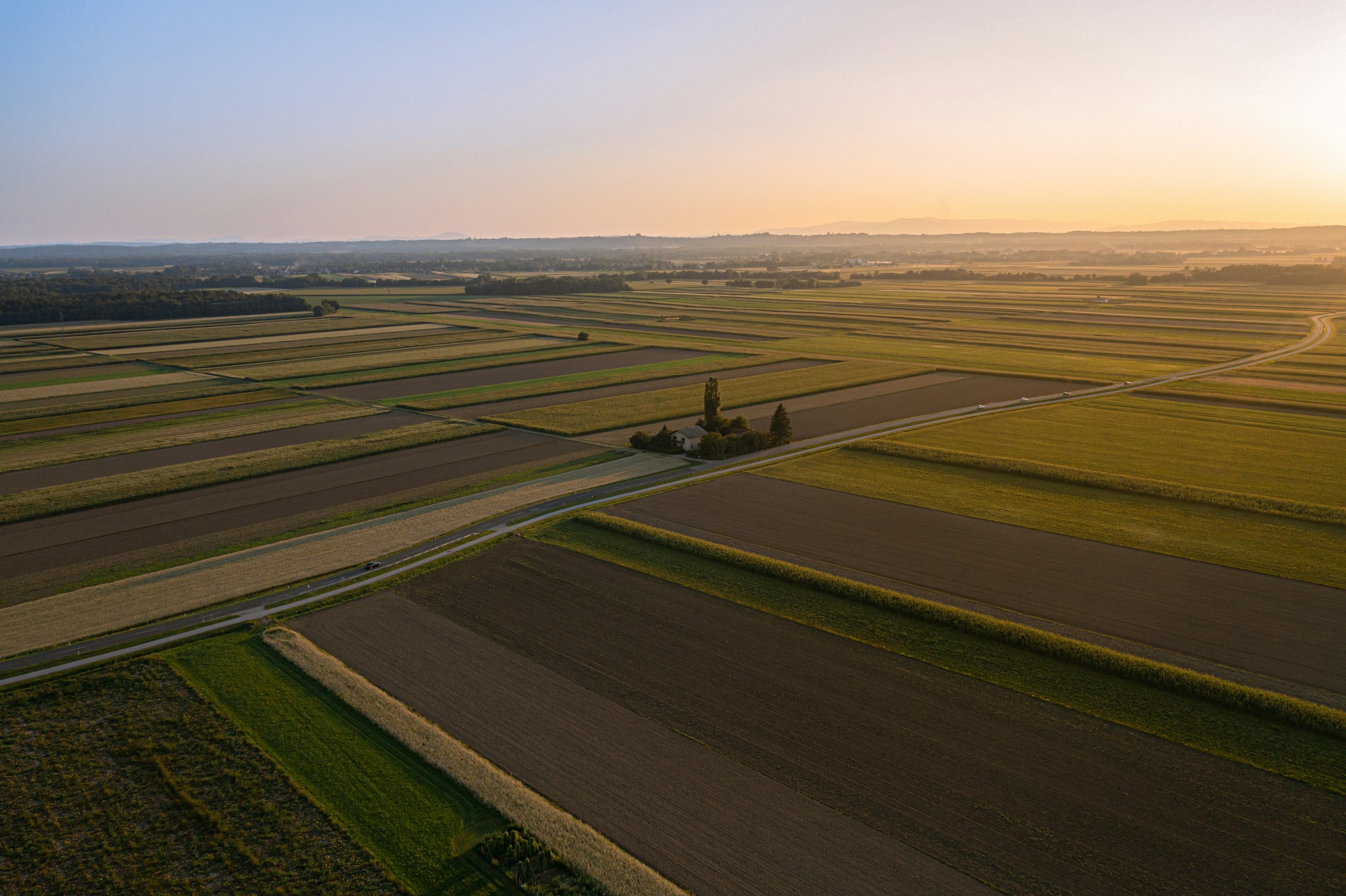 Cultivated fields seen from above at dusk, divided into long strips.
